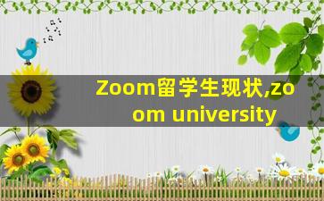 Zoom留学生现状,zoom university